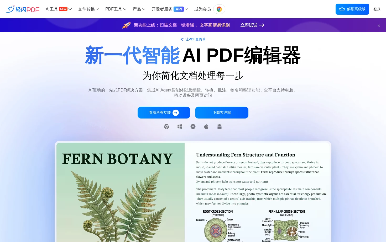 轻闪PDF 页面快照